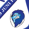 De Blauwe Leeuw Vevo logo